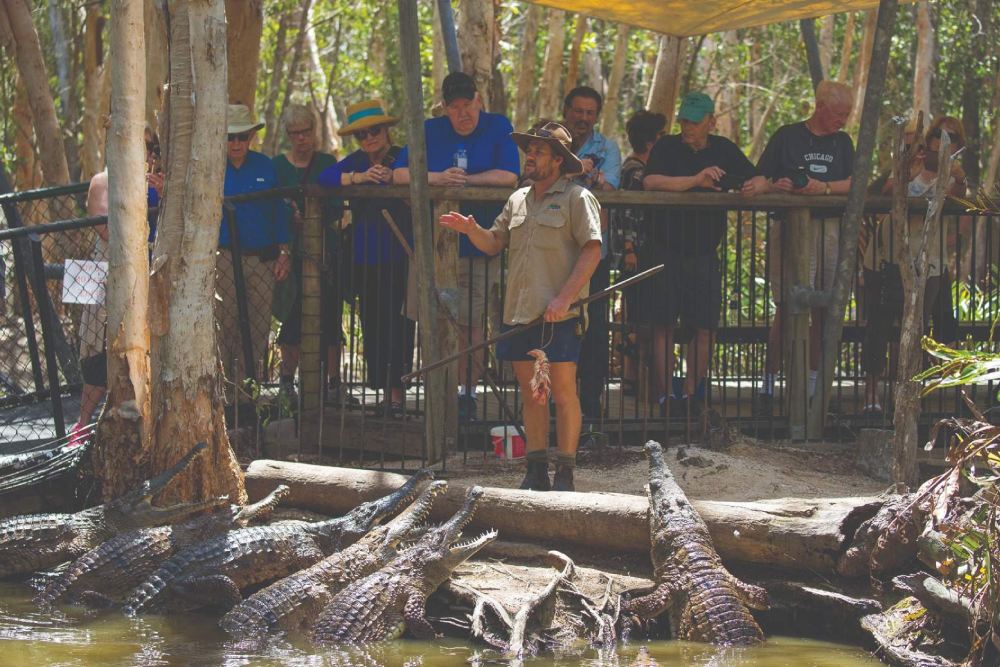 Hartleys Krokodilabenteuer - Besuchen Sie Hartley's Crocodile Adventures, eine der Top-Attraktionen in Nord-Queensland. Bei Hartley's Crocodile Adventures können Sie Krokodilen ganz nahekommen und mehr über deren Schutz erfahren. Entdecken Sie spannende Wildtiererlebnisse und neue Tiervorführungen bei Hartley's Crocodile Adventures. Hartley's Crocodile Adventures bietet auch pädagogische Touren an, die zeigen, wie der Park Krokodile und andere Tiere schützt. Verpassen Sie nicht die Gelegenheit, Hartley's Crocodile Adventures zu erkunden, wo Abenteuer und Lernen aufeinandertreffen! Hartleys Krokodilabenteuer - Bild 4 von 5