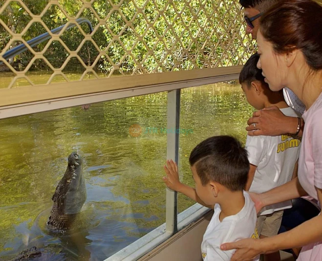 Hartley's Crocodile Adventures - Encounter Crocs & Wildlife in Cairns - JTR Holidays - Image 2 of 5