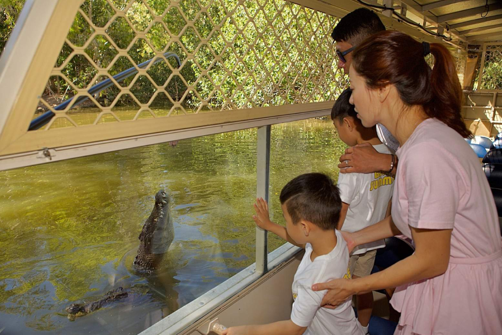 Hartley's Crocodile Adventures - Image 2 of 8