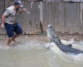 Hartley's Crocodile Adventures - Encounter Crocs & Wildlife in Cairns - JTR Holidays