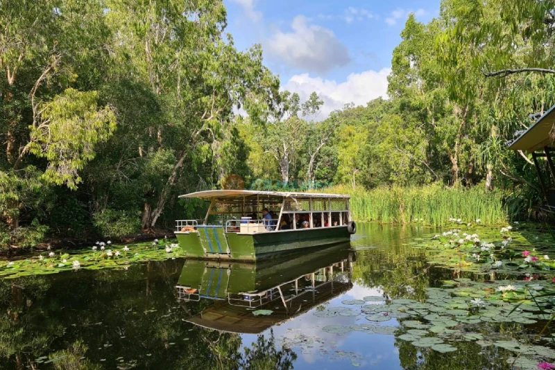 Hartley's Crocodile Adventures - Encounter Crocs & Wildlife in Cairns - JTR Holidays