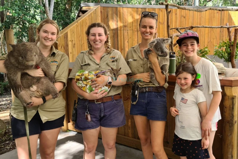 Hartley's Crocodile Adventures - Encounter Crocs & Wildlife in Cairns - JTR Holidays - Image 7 of 8