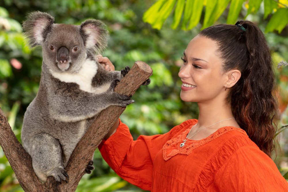 Kuranda Koala Gardens Ticket - Image 1 of 6