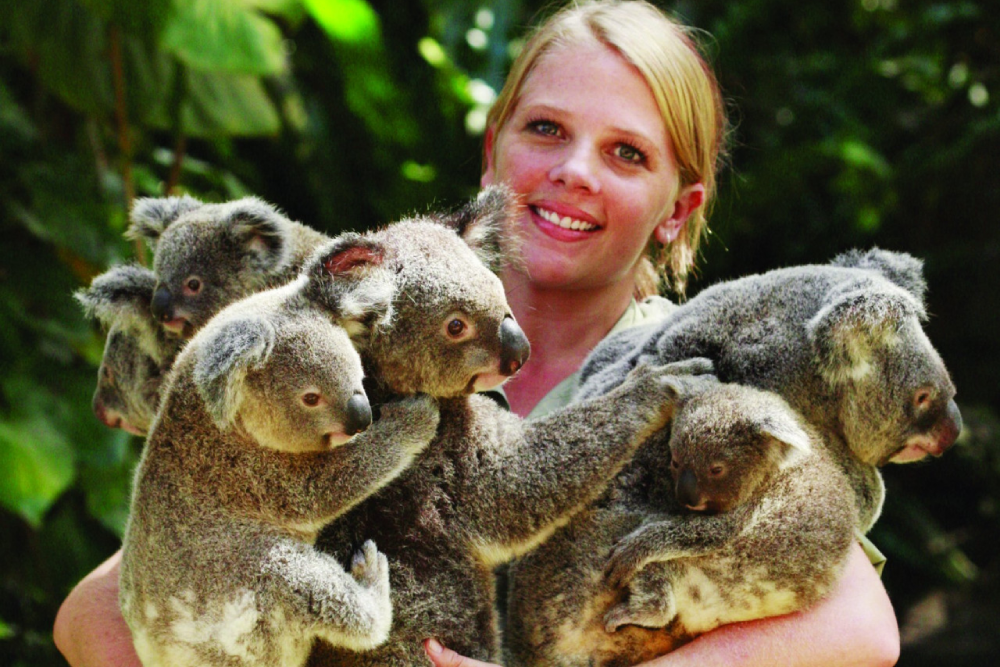 クランダ・コアラ・ガーデンズ入場券 - クランダの村の熱帯雨林にある人気の野生動物公園、クランダ・コアラ・ガーデンズを探索しましょう。クランダ・コアラ・ガーデンズでは、コアラ、カンガルー、クォッカ、ワラビーなどのオーストラリア固有の動物に出会えます。クランダ・コアラ・ガーデンズのオージー・ブッシュ・コレクションでは、有袋類と爬虫類が共に暮らす様子を観察できます。さらに、夜行性動物(大型ビルビーなど)を観察できるユニークな夜間展示もあり、オーストラリアの素晴らしい野生動物と触れ合える楽しくて教育的な体験をお見逃しなく! クランダ・コアラ・ガーデンズ入場券 - 画像 5 の 5