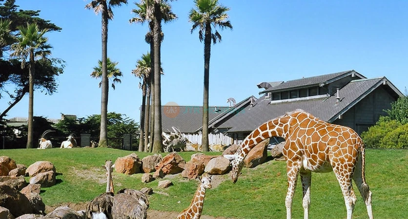 San Francisco Zoo Tickets - Explore Wildlife & Family Fun - JTR Holidays