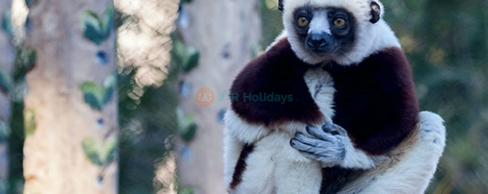 San Francisco Zoo Tickets - Image 3 of 5