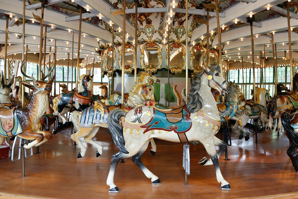 San Francisco Zoo Tickets - Image 4 of 5
