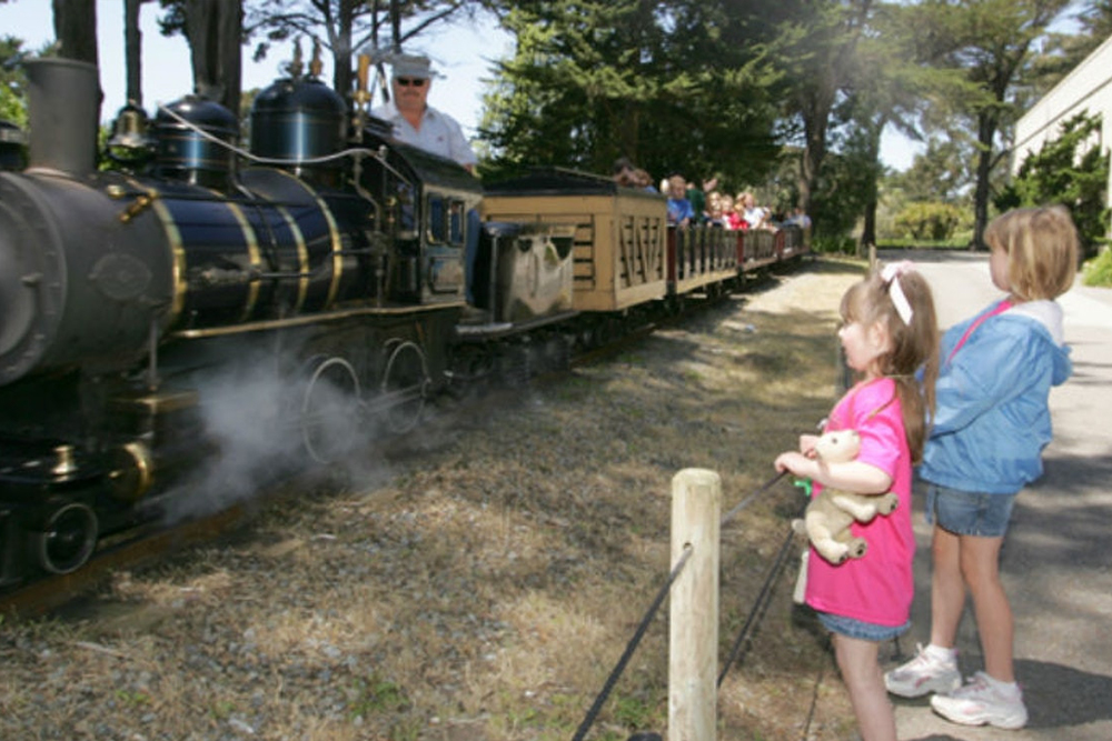 San Francisco Zoo Tickets - Image 6 of 10