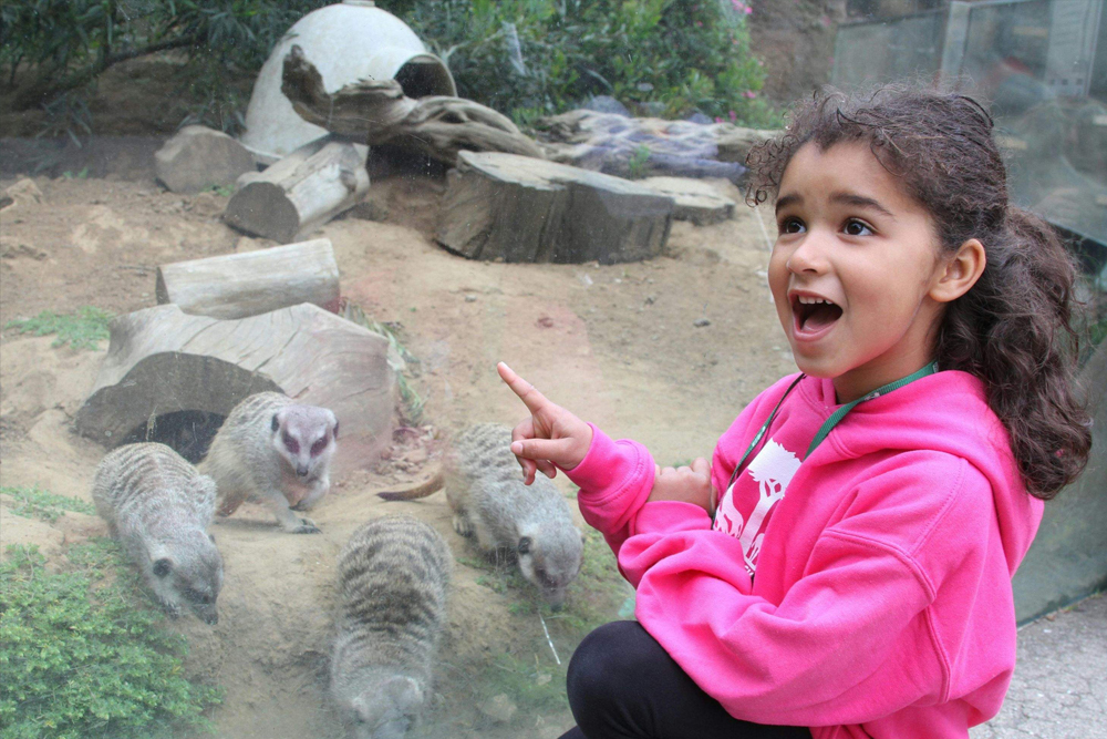 San Francisco Zoo Tickets - Image 7 of 10