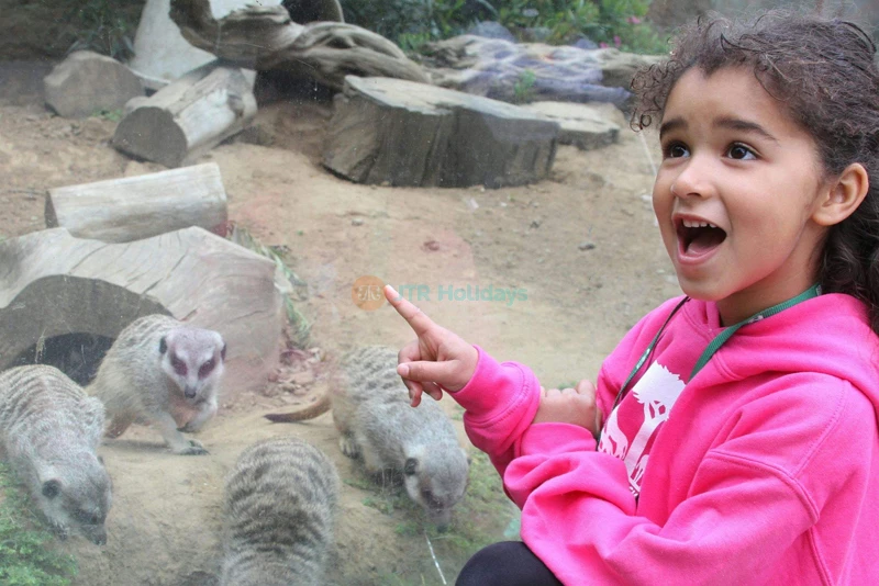 San Francisco Zoo Tickets - Explore Wildlife & Family Fun - JTR Holidays