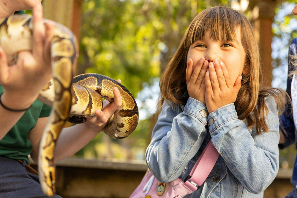 San Francisco Zoo Tickets - Image 8 of 10