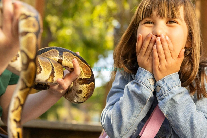 San Francisco Zoo Tickets - Image 8 of 10