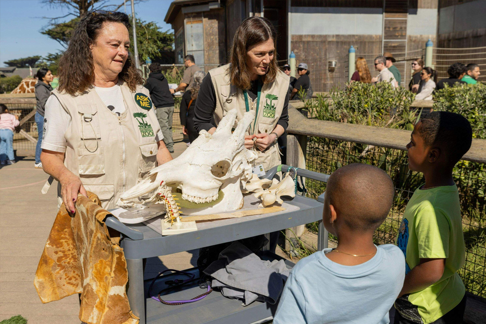 San Francisco Zoo Tickets - Image 10 of 10