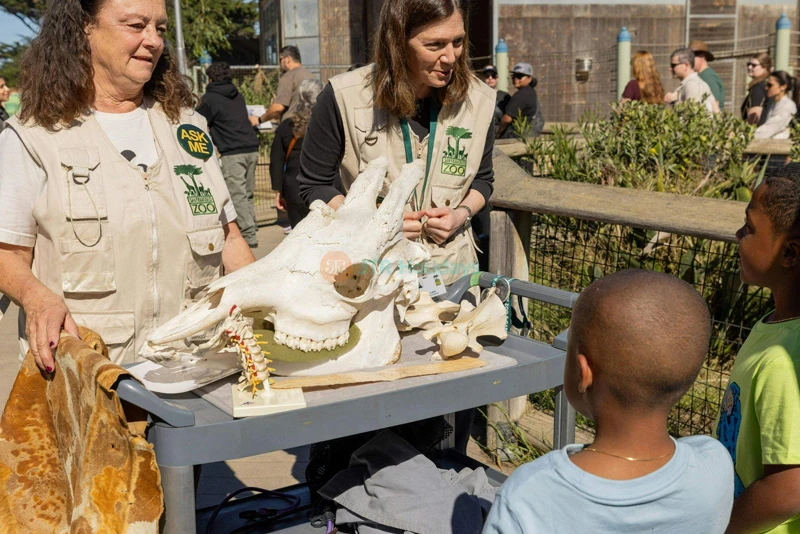 San Francisco Zoo Tickets - Image 10 of 10