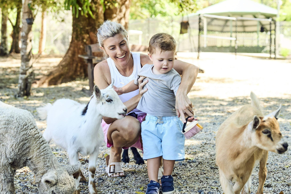 Maleny Botanic Gardens and Bird World - Image 3 of 8
