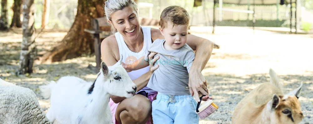 Maleny Botanic Gardens and Bird World - Image 3 of 5