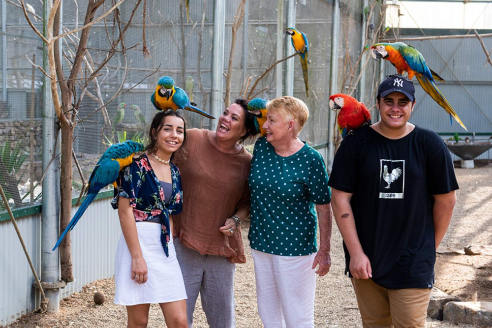 Maleny Botanische Gärten und Vogelwelt - Bild 2 von 5