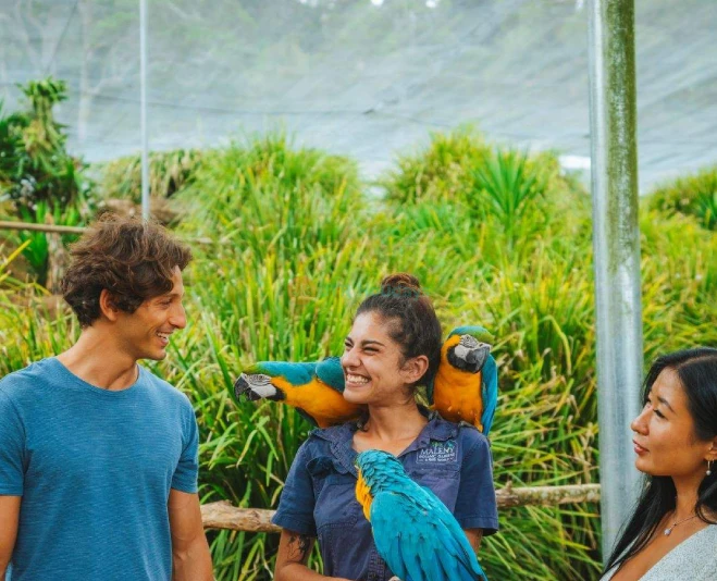 Maleny Botanic Gardens and Bird World - Image 5 of 5