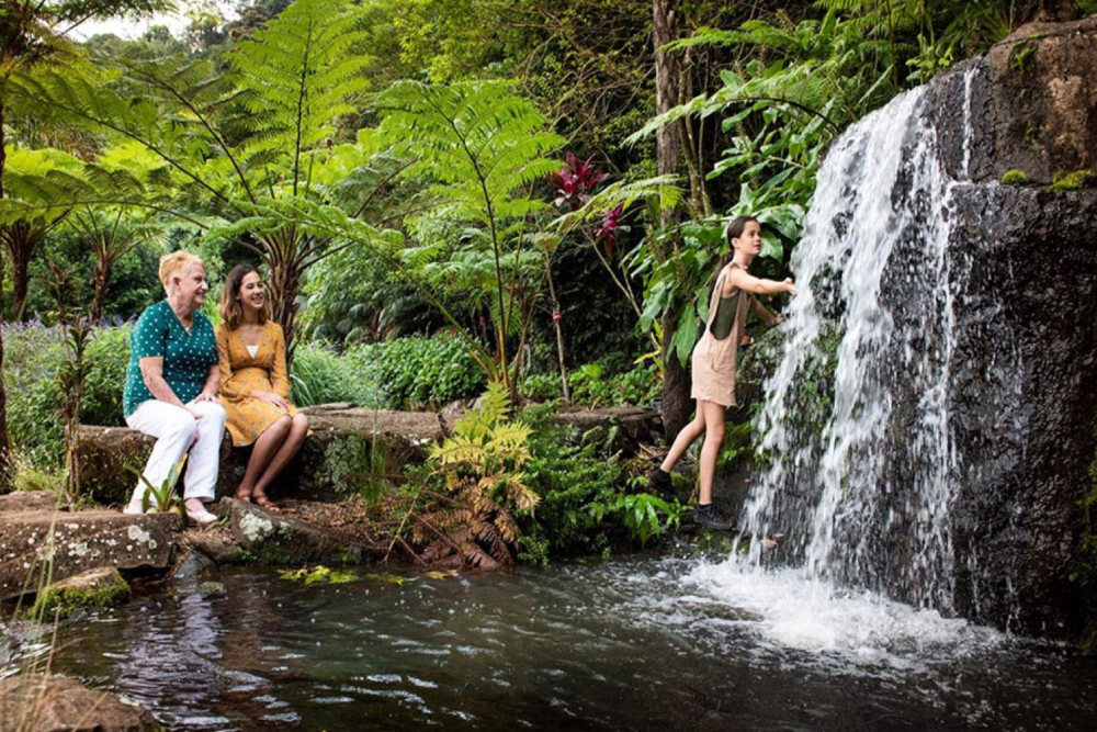 Maleny Botanic Gardens and Bird World - Image 6 of 8