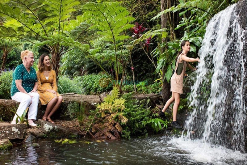 Maleny Botanic Gardens and Bird World - Image 6 of 8