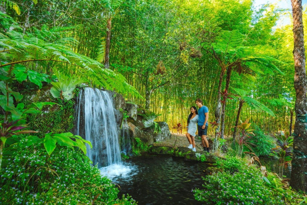 Maleny Botanic Gardens and Bird World - Image 7 of 8