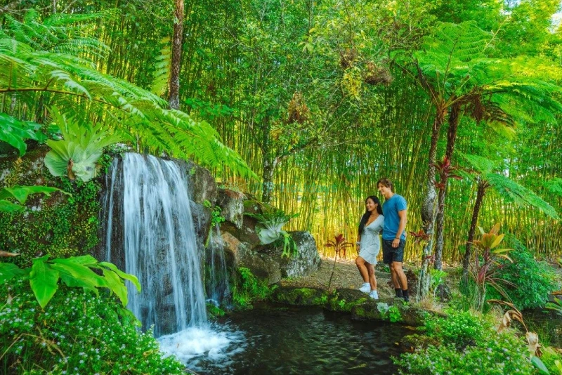 Maleny Botanic Gardens and Bird World - Image 7 of 8