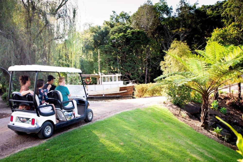 Maleny Botanic Gardens and Bird World - Image 8 of 8