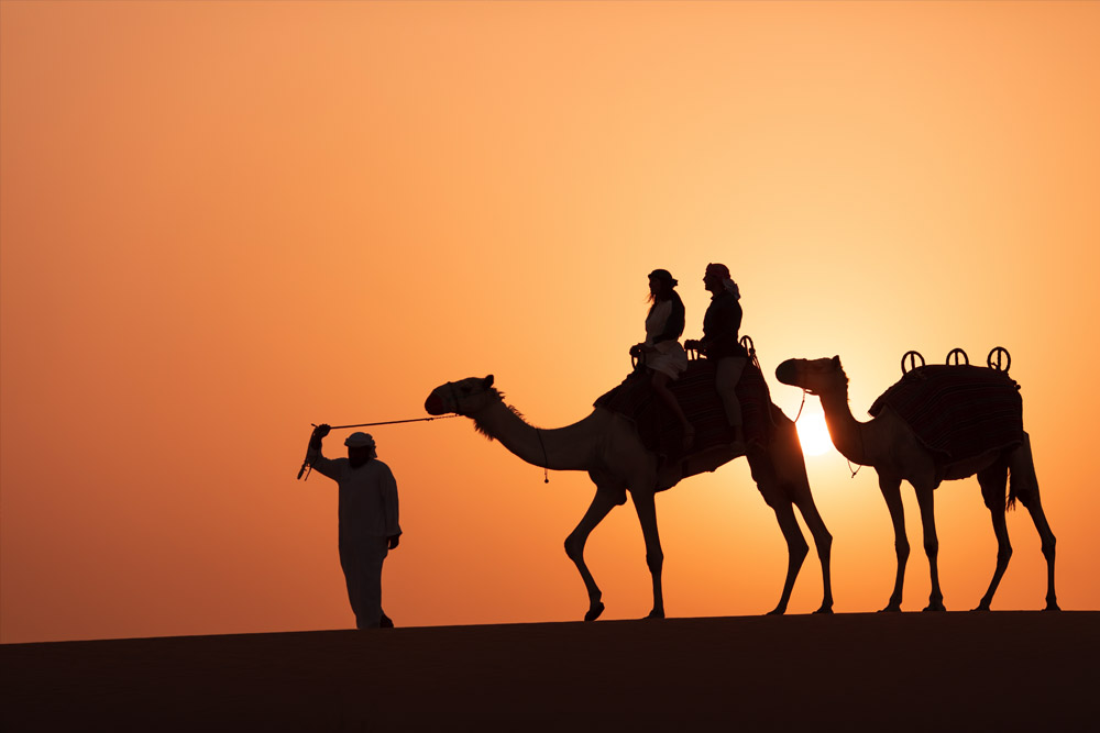 سفاري الصحراء البلاتيني دبي - صورة 5 من 5