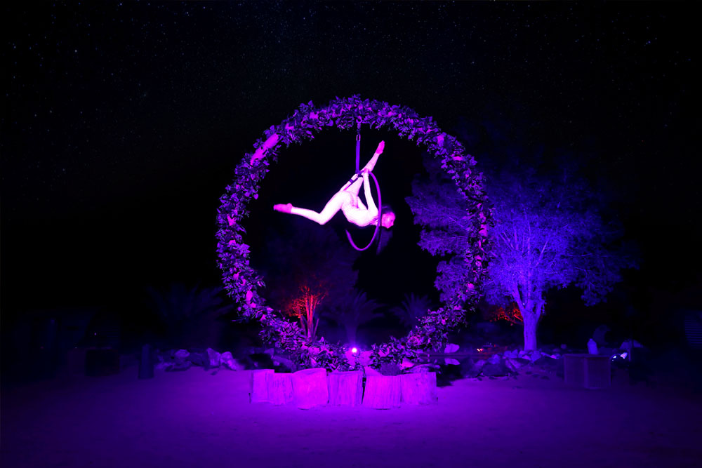 Platinum Desert Safari Dubai - Image 17 of 25