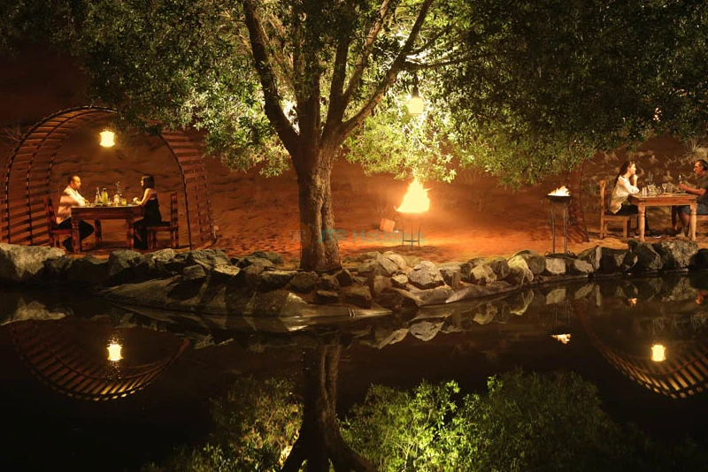 Platinum Desert Safari Dubai in Land Rover Defender | Explore Nature - JTR Holidays - Image 21 of 25