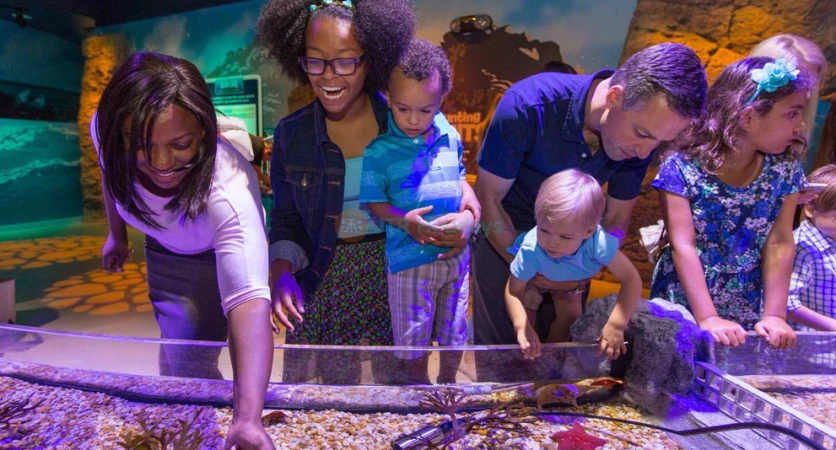 SEA LIFE Orlando Aquarium: Explore Ocean Wonders & Marine Life - JTR Holidays