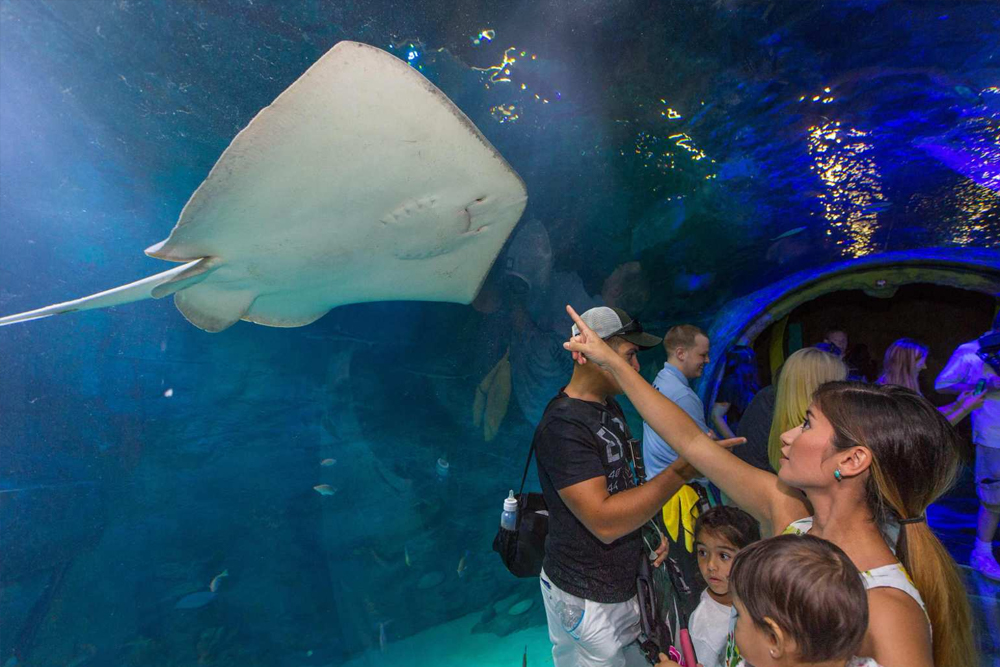 Acuario SEA LIFE Orlando - Imagen 2 de 5