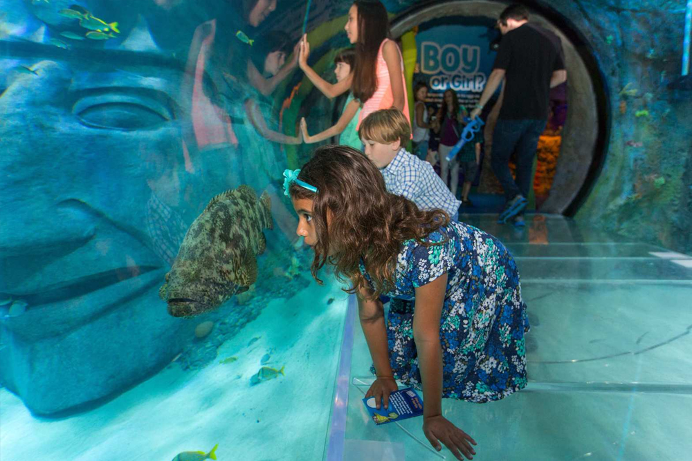 Acuario SEA LIFE Orlando - Imagen 3 de 5