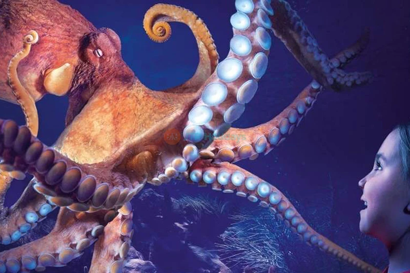 SEA LIFE Orlando Aquarium - Image 7 of 9