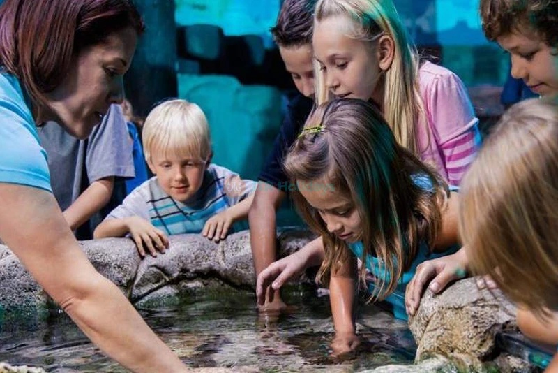 SEA LIFE Orlando Aquarium: Explore Ocean Wonders & Marine Life - JTR Holidays