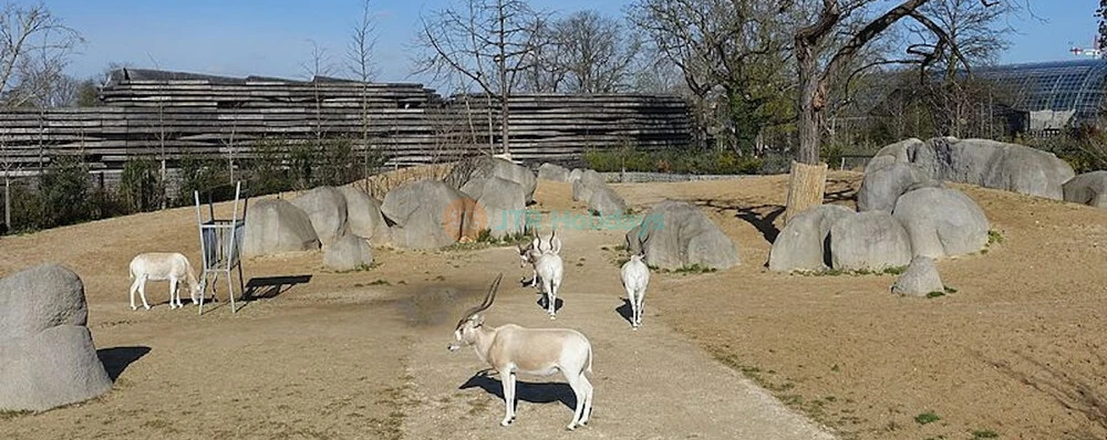 Parque Zoológico de París - Imagen 3 de 5