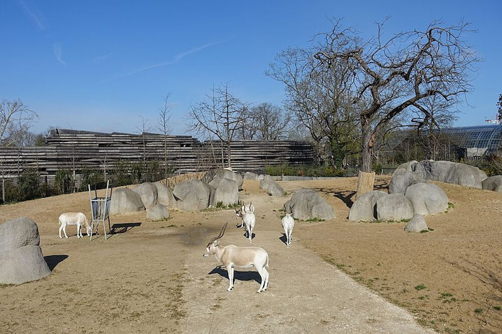 Paris Zoological Park - Image 3 of 5