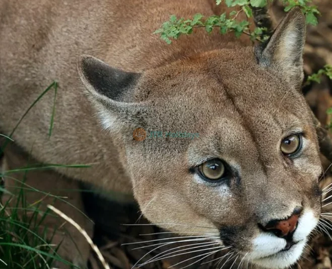 Parque Zoológico de París - Imagen 5 de 5