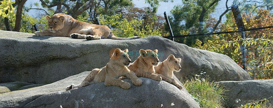 Parque Zoológico de París - Imagen 4 de 5