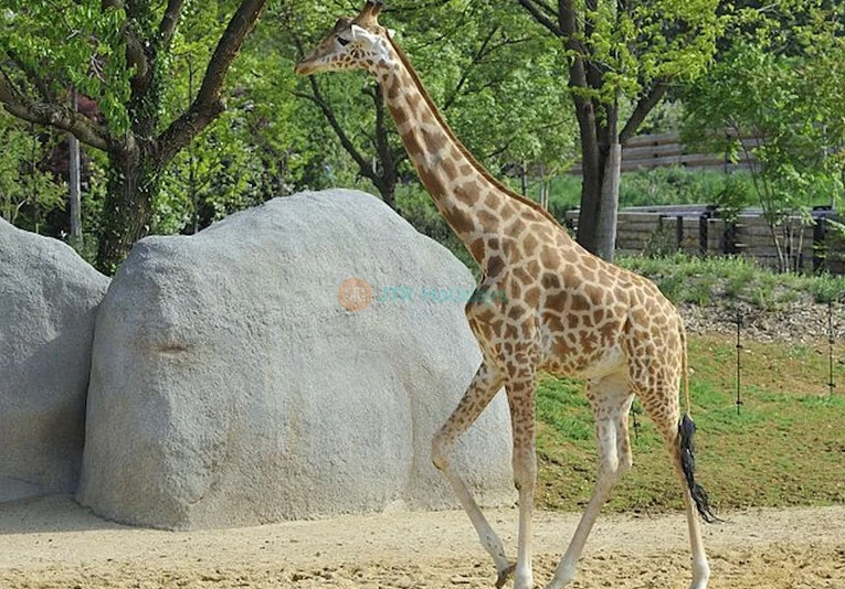 Explore Parc Zoologique de Paris - Discover Wildlife & Natural Habitats - JTR Holidays - Image 6 of 6