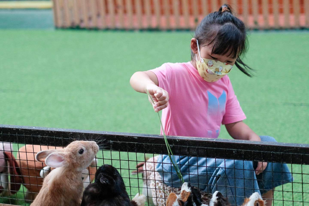 Monster Aquarium Pattaya - Image 2 of 7