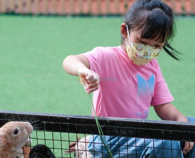 Monster Aquarium Pattaya - Image 2 of 5