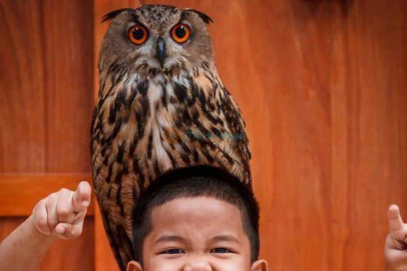 Monster Aquarium Pattaya - Image 7 of 7