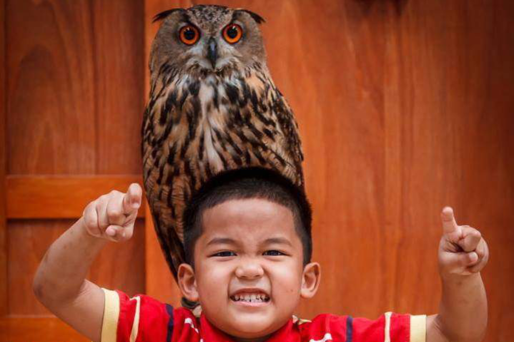 Monster Aquarium Pattaya - Image 7 of 7