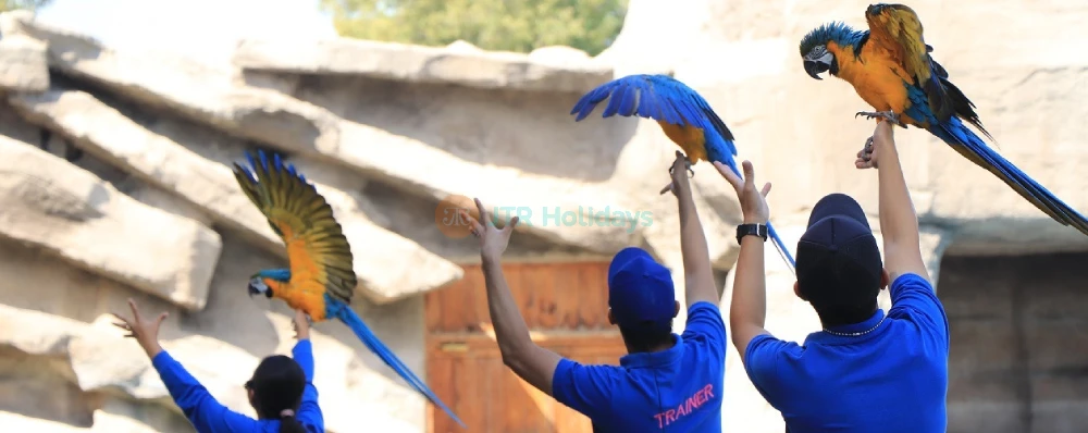 Emirates Park Zoo – Discover Wildlife, Rare Animals & Fun Activities in Abu Dhabi - JTR Holidays - Image 3 of 5