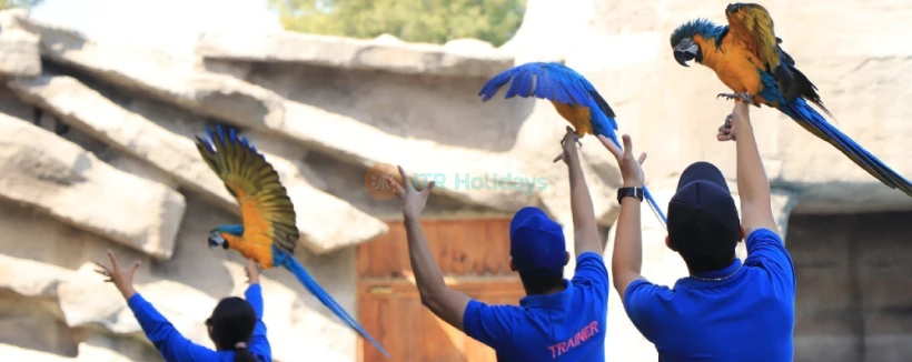 Emirates Park Zoo - Image 3 of 5