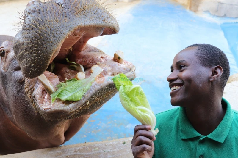 Emirates Park Zoo – Discover Wildlife, Rare Animals & Fun Activities in Abu Dhabi - JTR Holidays - Image 6 of 7