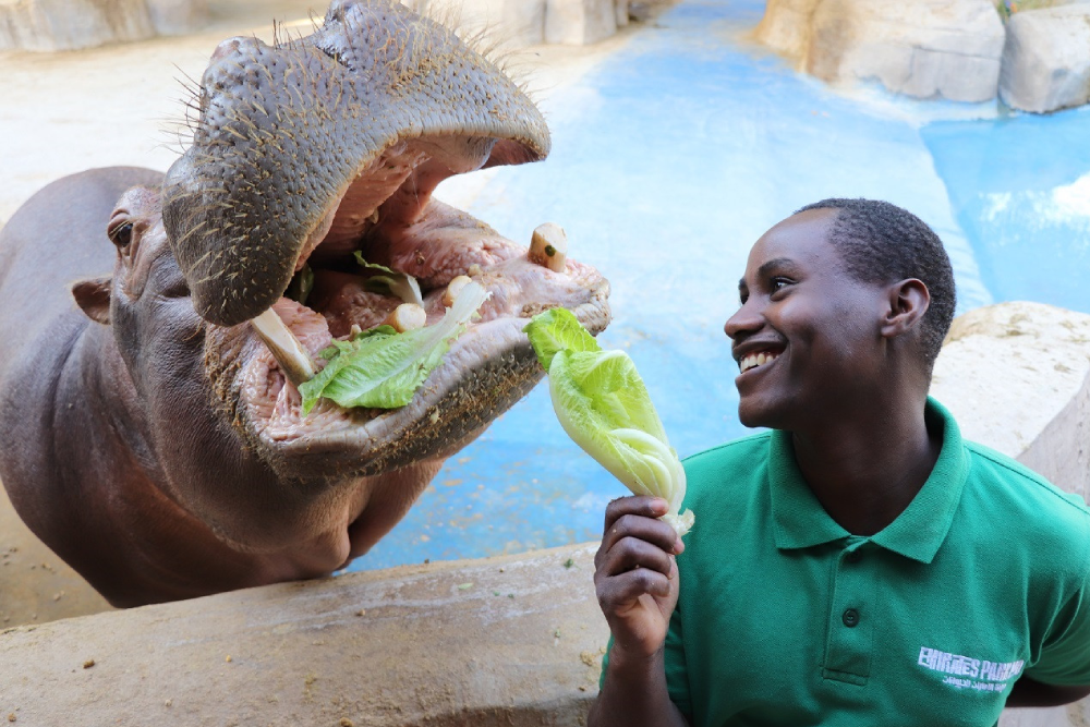 Emirates Park Zoo - Image 6 of 7