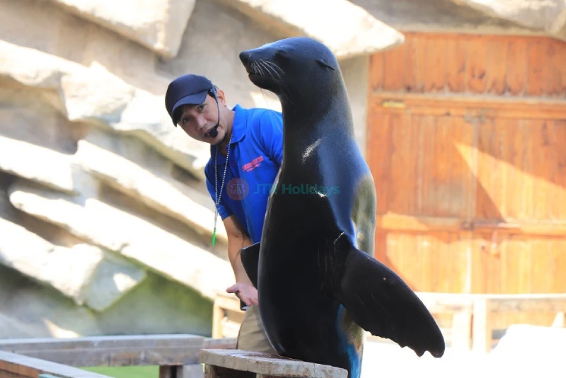 Emirates Park Zoo – Discover Wildlife, Rare Animals & Fun Activities in Abu Dhabi - JTR Holidays - Image 7 of 7