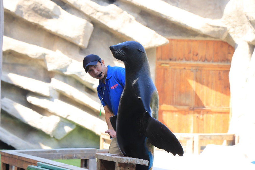 Emirates Park Zoo - Image 7 of 7